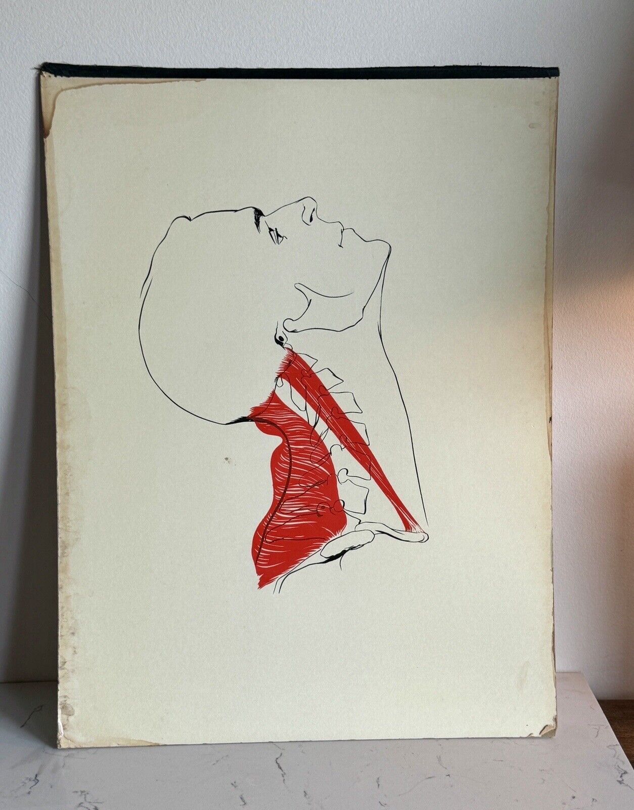 Vintage Mid Century Medical Neck Chart Art