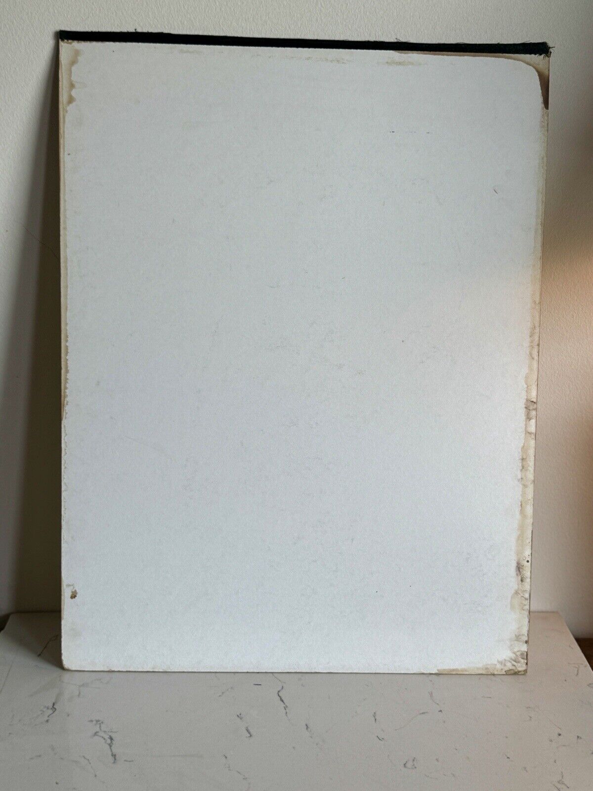 Vintage Mid Century Medical Neck Chart Art