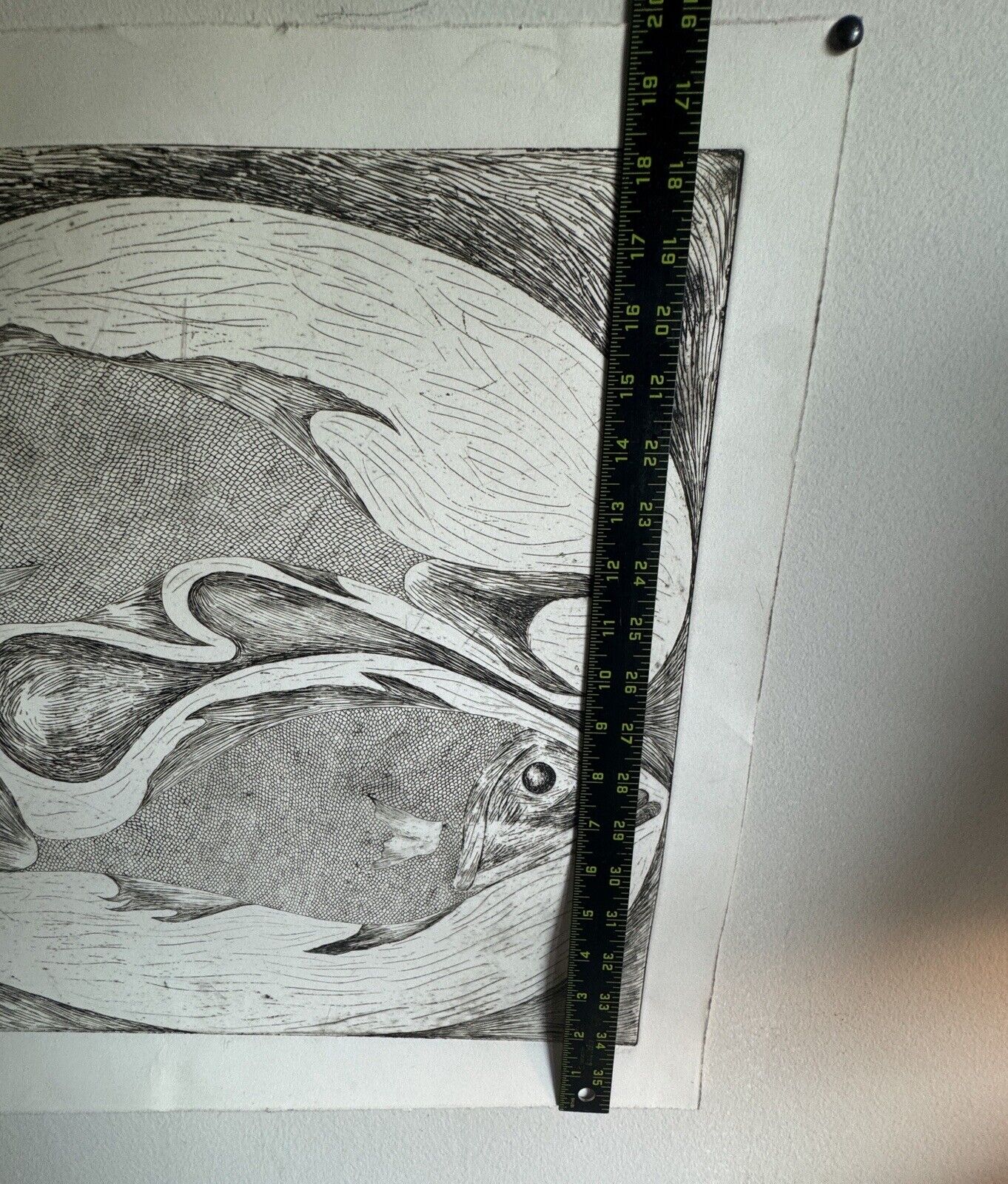 Fish Embossed Etching Wall Art on Paper Signed MC07